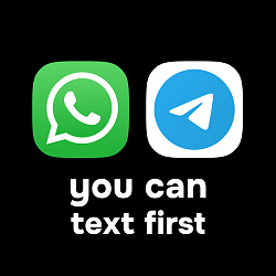 Wazzup (WhatsApp, WhatsApp Business API, Telegram and Instagram)